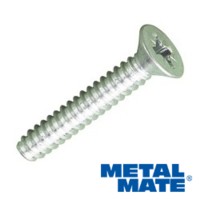 Self Tapping Screw Steel Zinc Plated Pozidrive Countersunk Type AB (Pointed End)