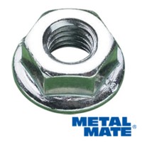 Hexagon Flange Nuts (Plain)