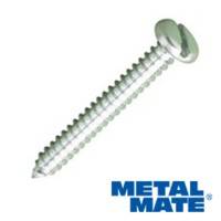 Self Tapping Screw Steel Zinc Plated Slotted Pan Type AB (Pointed End)